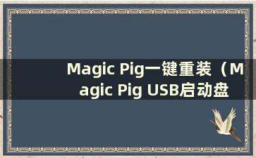 Magic Pig一键重装（Magic Pig USB启动盘重装教程）